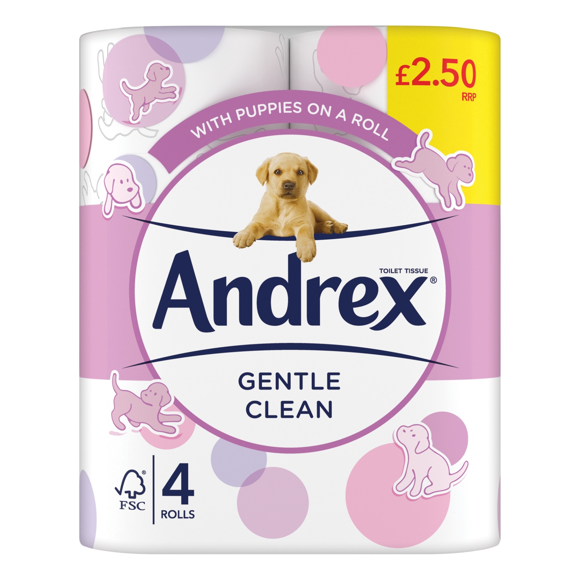 Picture of ANDREX TOILET ROLL - GENTLE CLEAN pm2.50^