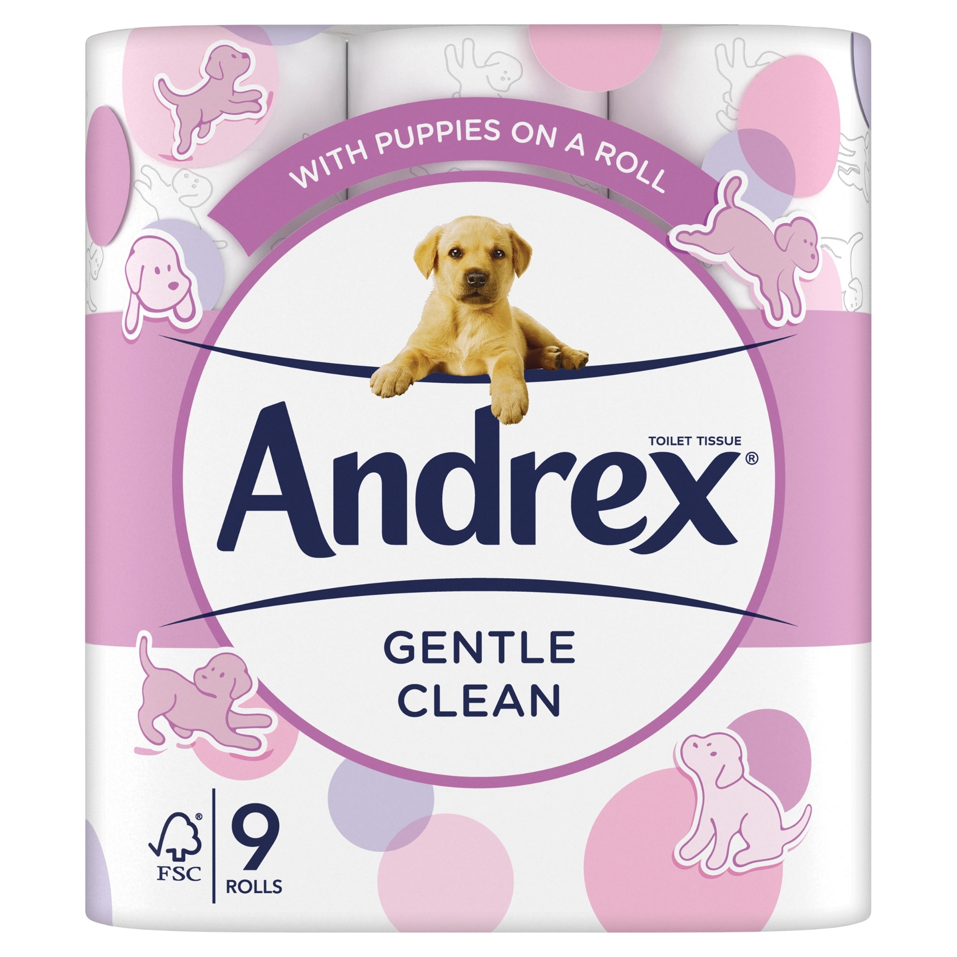 Picture of ANDREX TOILET ROLL - GENTLE CLEAN 2ply