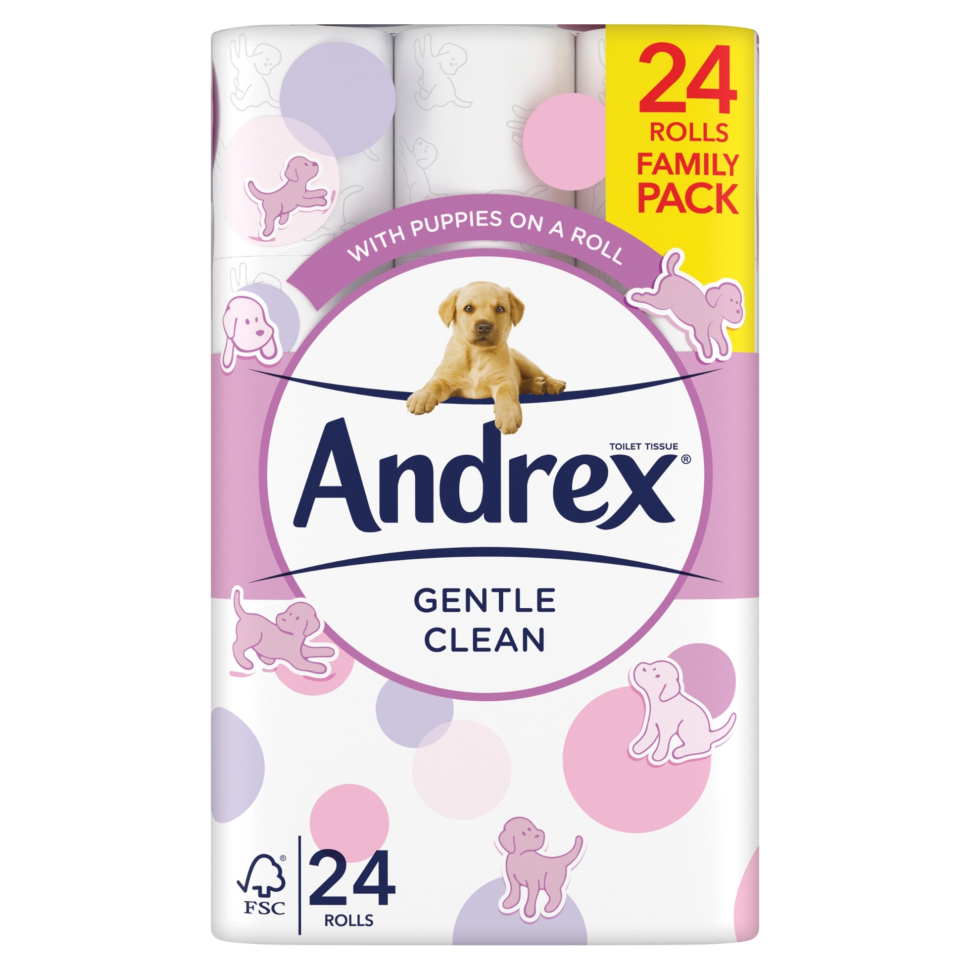 Picture of ANDREX TOILET ROLL FAMILY-GENTLE CLEAN 170Sht (P)