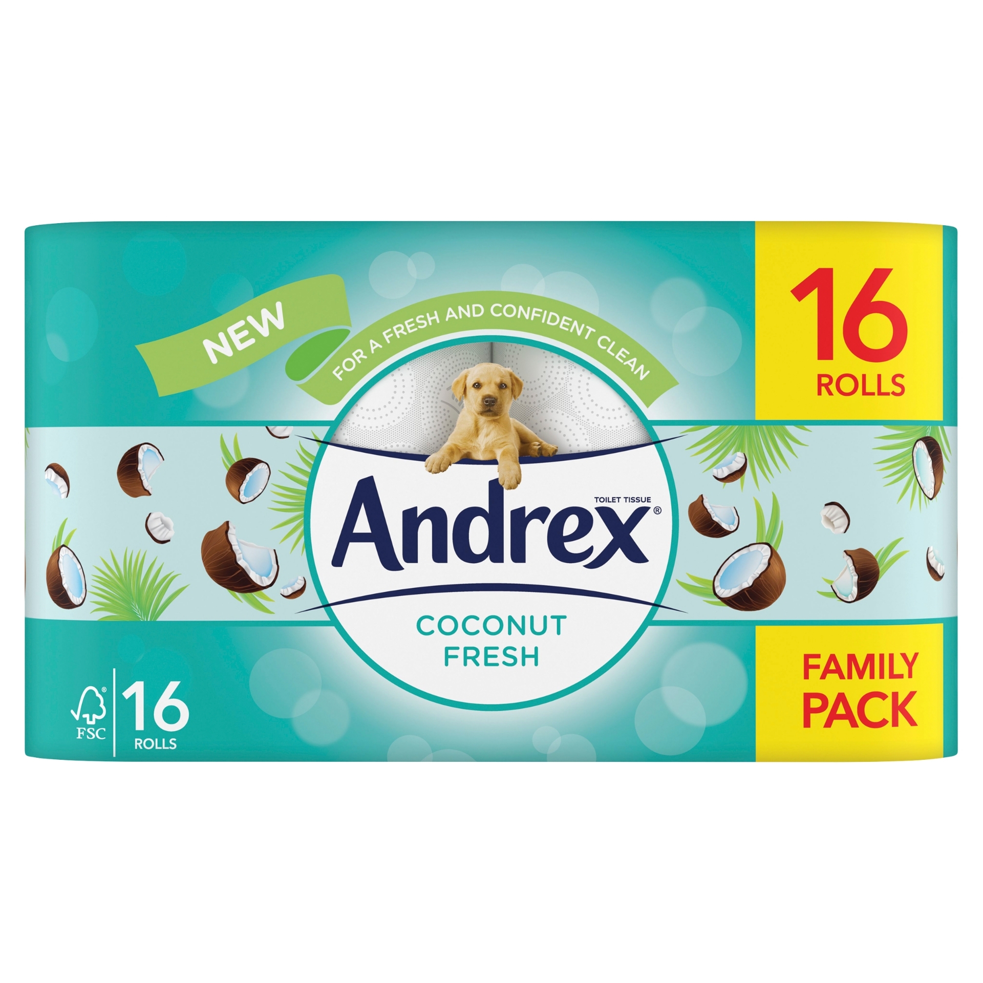 Picture of ANDREX TOILET ROLL - COCONUT (cube) (c)