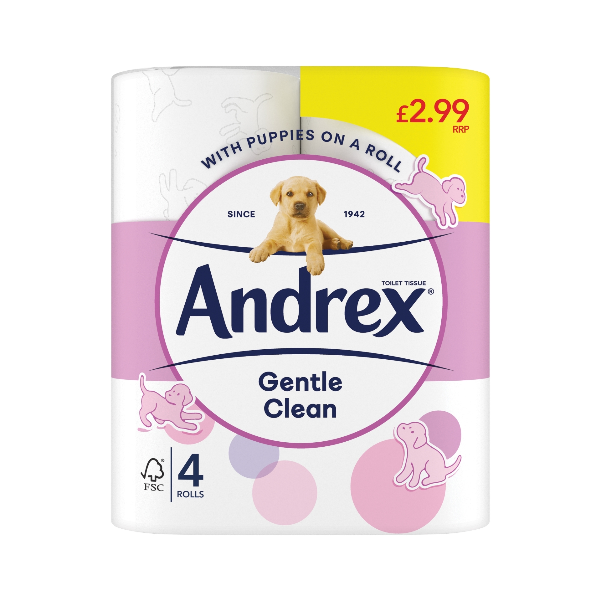 Picture of ANDREX TOILET ROLL - GENTLE CLEAN pm2.99 170Sht