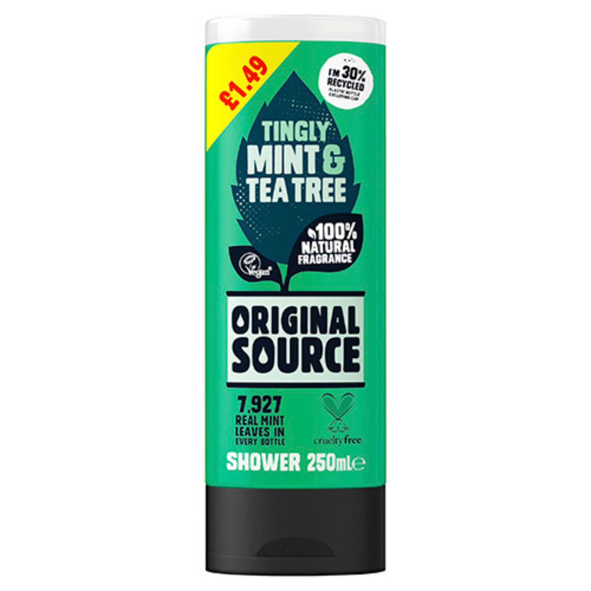 Picture of ORIGINAL SOURCE - MINT & TEA TREE pm1.49