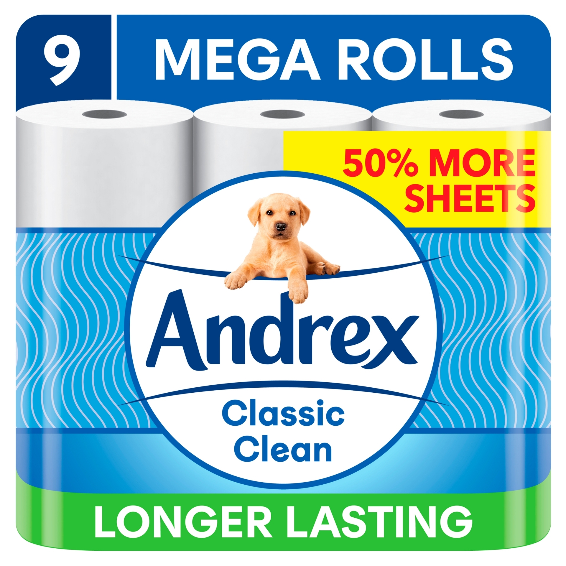 Picture of ANDREX TOILET ROLL - CLASSIC CLEAN MEGA 300sht