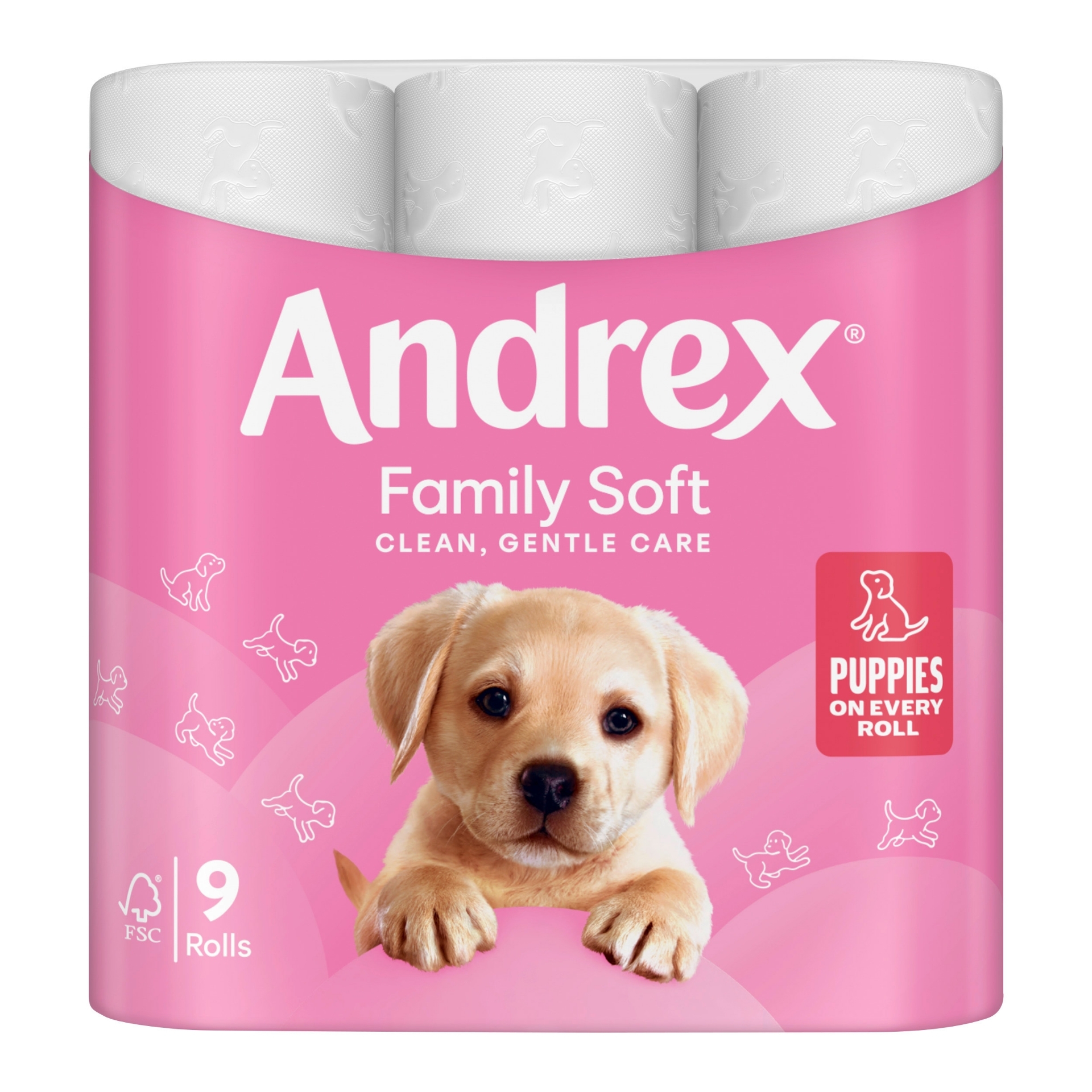 Picture of ANDREX TOILET ROLL - FAM SOFT 2ply 170Shts FSC