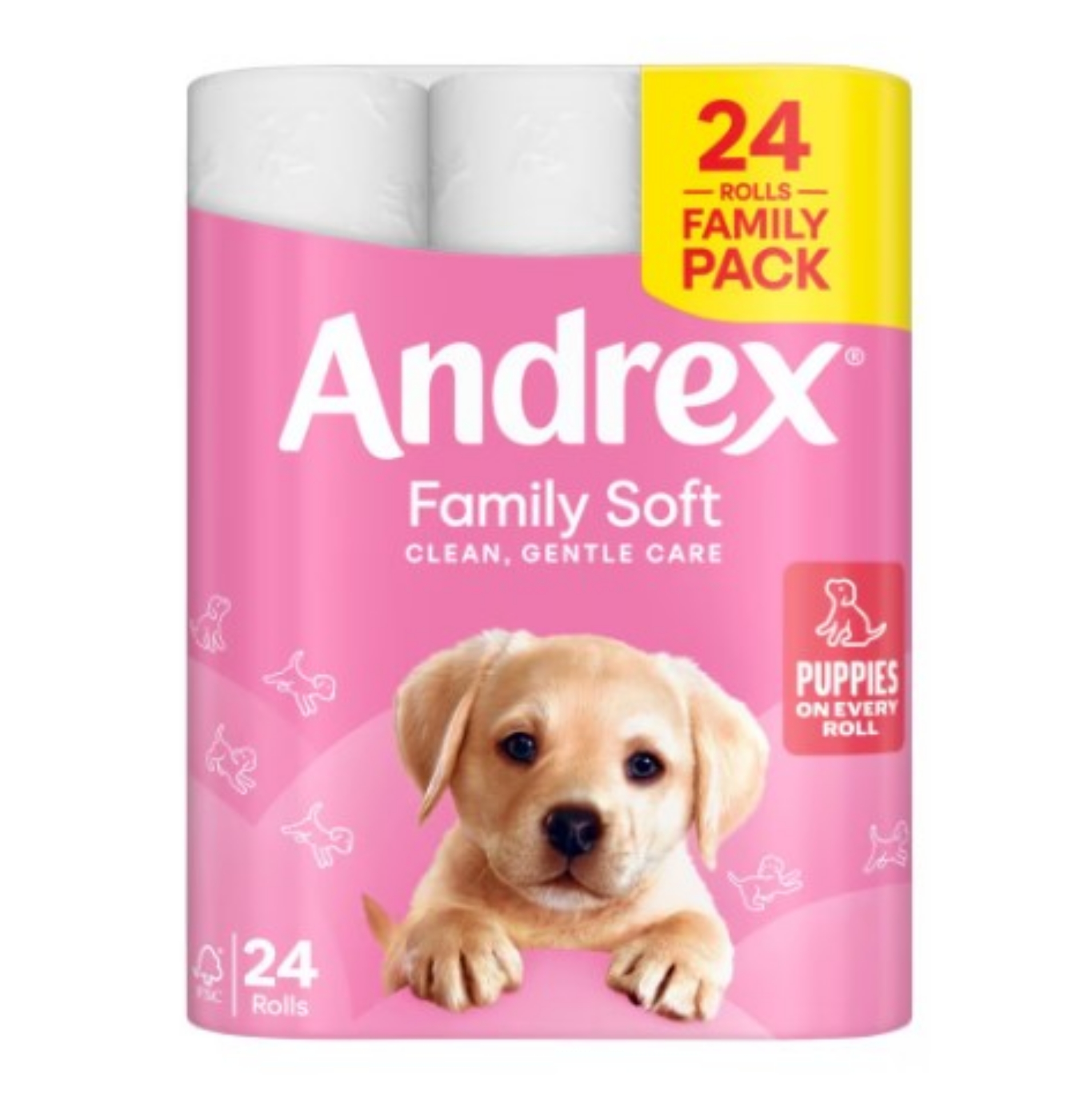 Picture of ANDREX TOILET ROLL - FAM SOFT 2Ply 170Shts (P) FSC