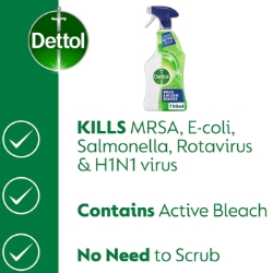 Picture of DETTOL MOULD & MILDEW REMOVER CO:PL (P)