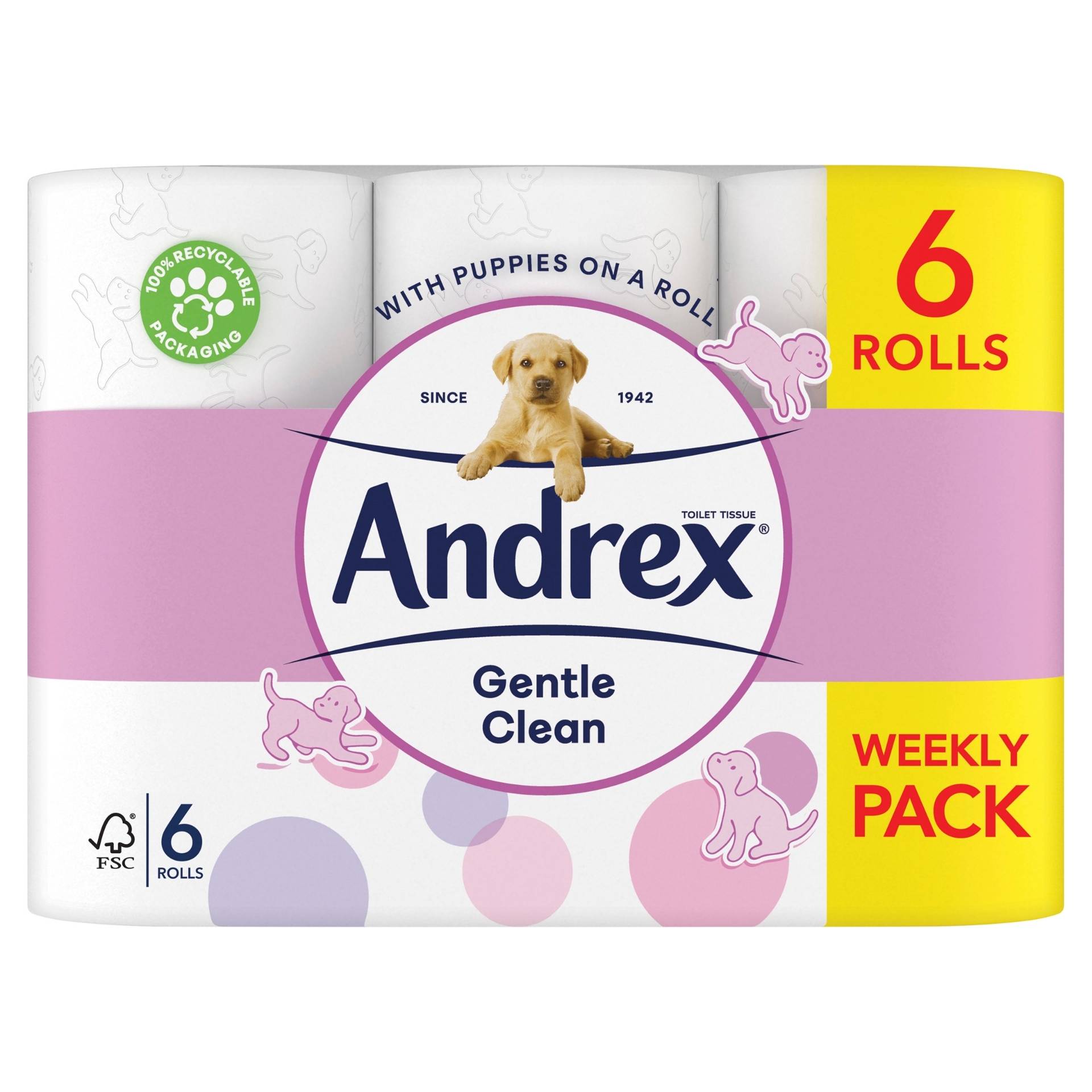 Picture of ANDREX TOILET ROLL - GENTLE CLEAN 170Shts (c) FSC