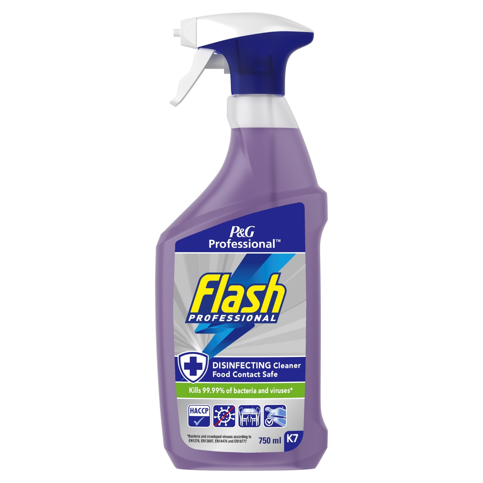 Picture of FLASH PROF DISINFECT FOOD SURFACE SPRAY CO:IT(P)