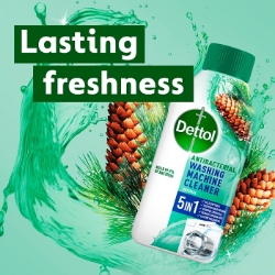 Picture of DETTOL 5 IN 1 WASHING MACHINE CLEANER CO:PT