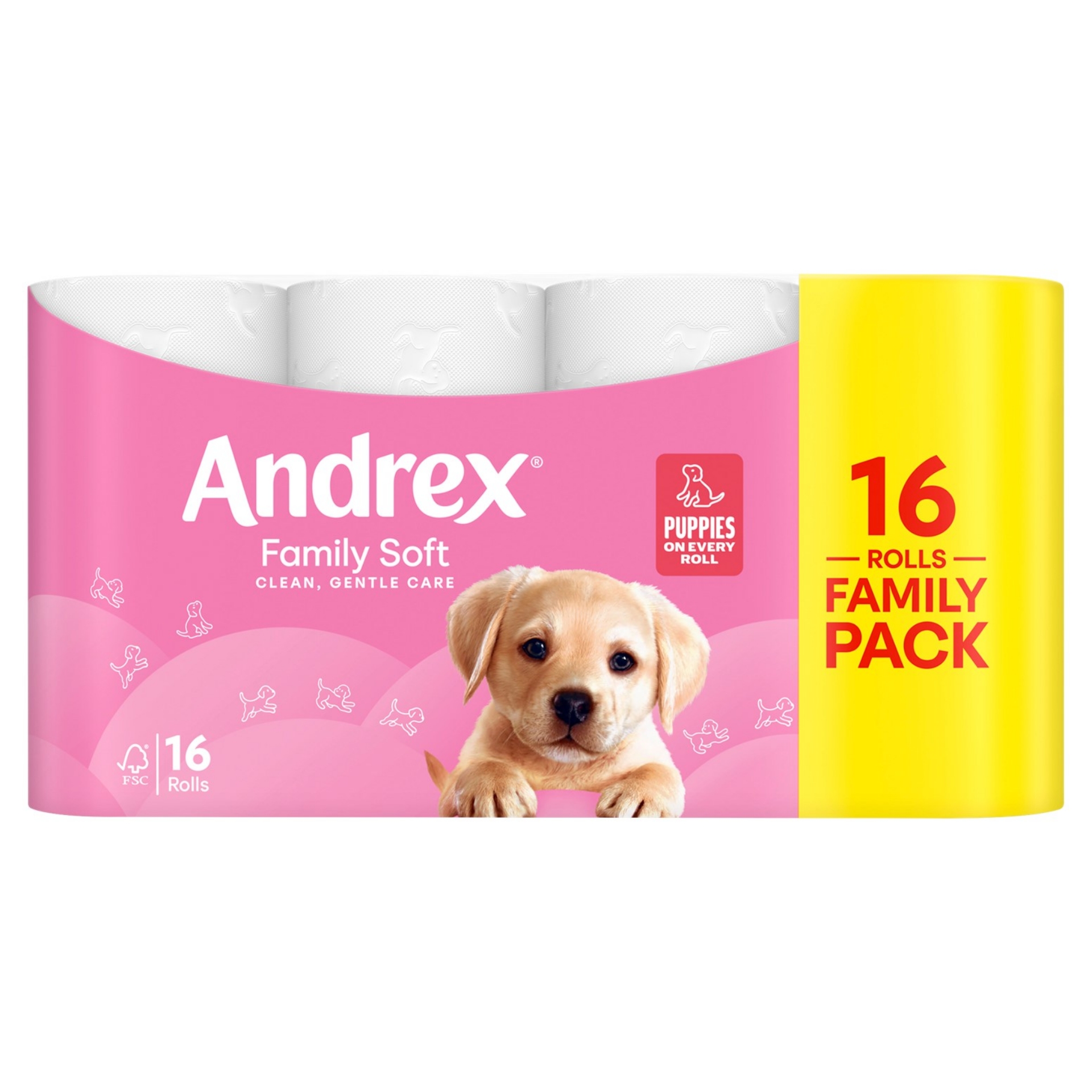 Picture of ANDREX TOILET ROLL FAMILY SOFT 2Ply 170sht 
